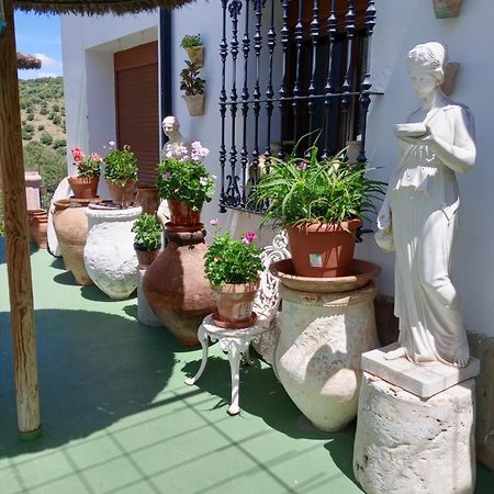 Casa Paco Guest House Ел Боске Екстериор снимка